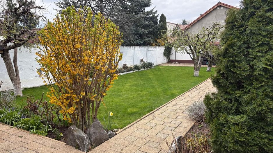 Casa individuala 5 camere 2 bai si 450 mp curte pe Calea Poplacii - Poză 8