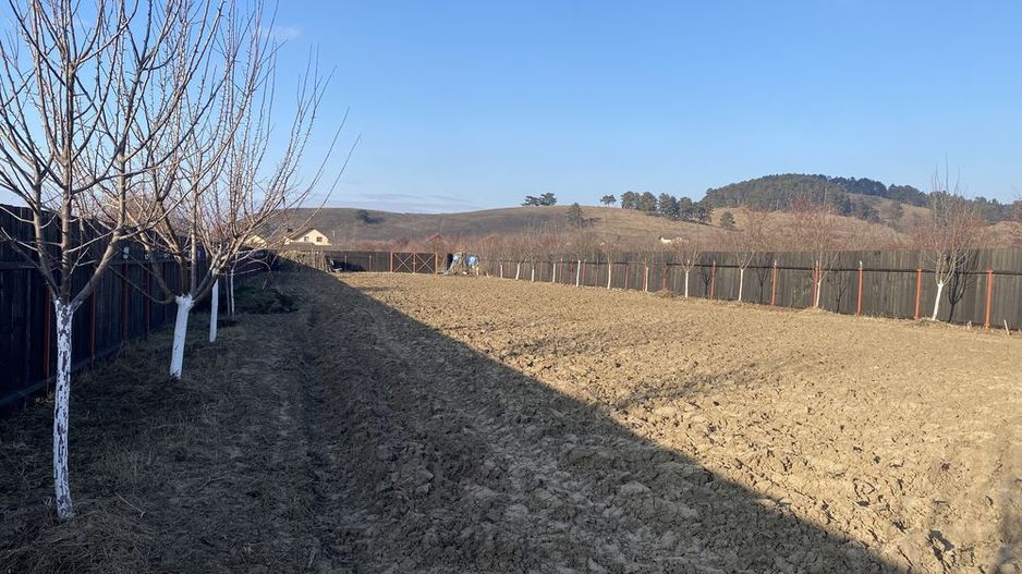 Sanpetru teren intravilan de 1350mp ingradit, 46 euro/mp - Poză 3