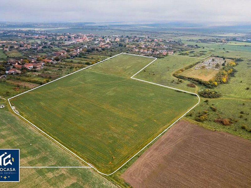 De vanzare teren agricol potential investitie, Pischia Jud. Timis - Poză 1