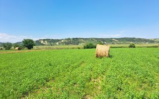 Comision 0! Casa individuala, teren 2363 mp, cartier Poiana! - Poză 9