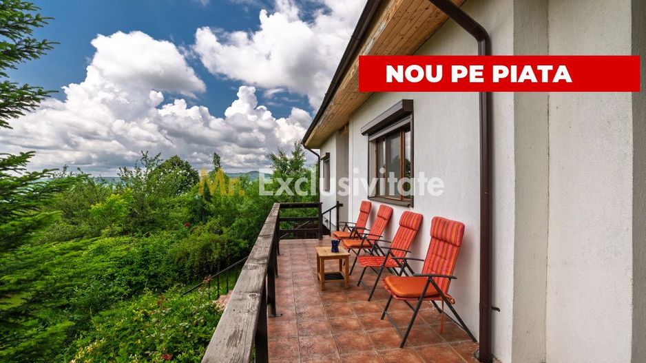 Casa moderna si casa bunicii + 6300 mp teren,Oaza autentica in Corbi Arges- - Poză 1