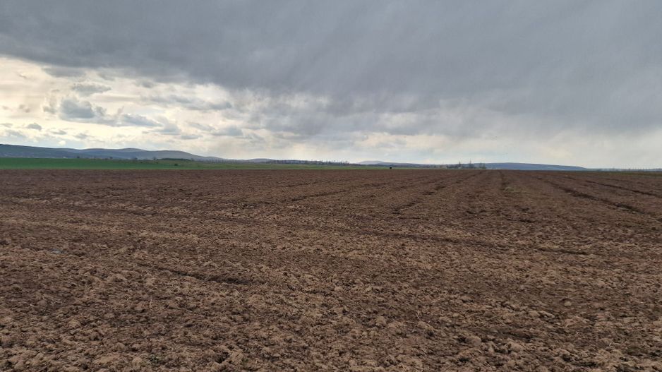 Teren 10,000mp Bacau / Strada Alexandru Safran - Poză 14