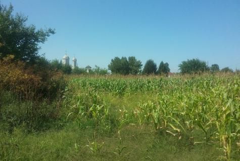 teren intravilan Corbii Mari judet Dambovita - Poză 5