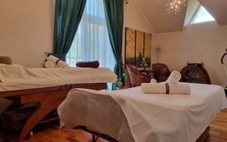 INCHIRIERE -2 VILE -ZONA MOGOSOAIA - Poză 10