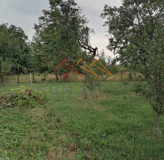 Casa rustica 3 camere, 4000 mp teren, cabana din lemn, pomi fructiferi - Poză 9