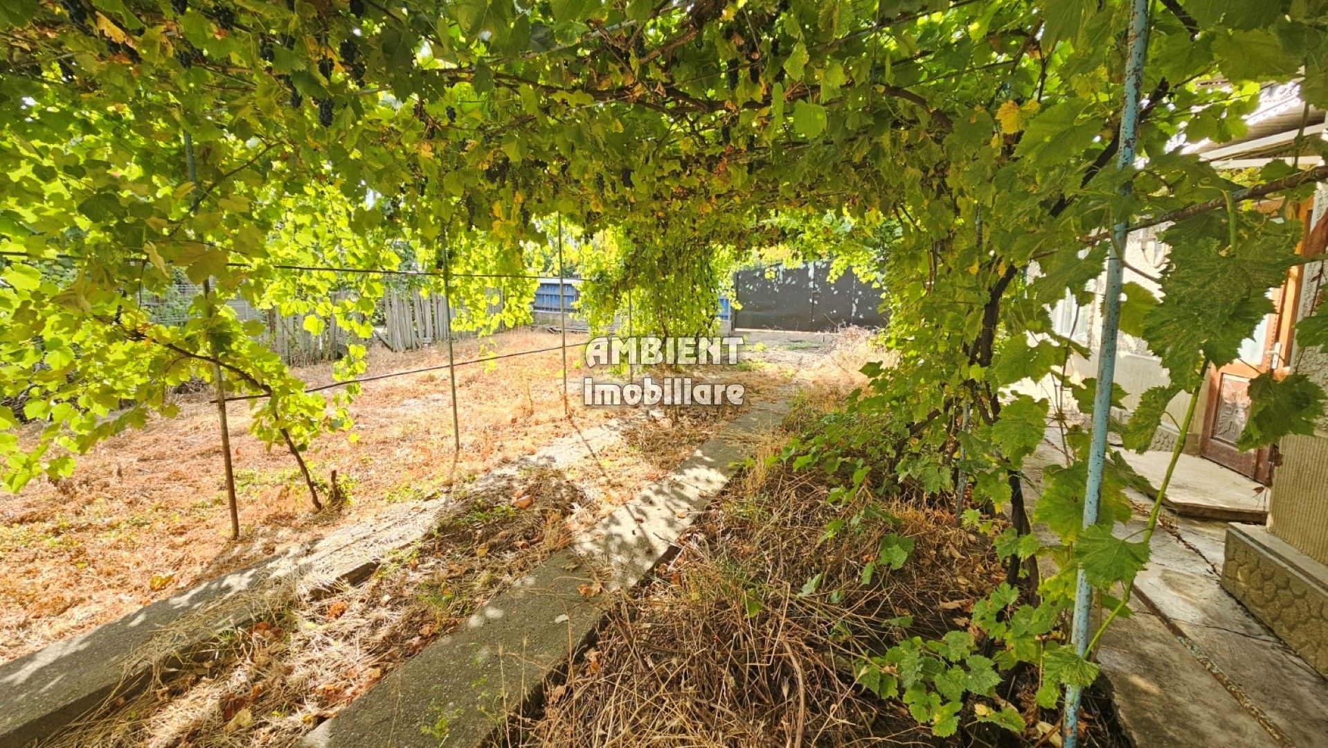 CASA cu anexe și garaj, teren 1.200 mp, zona MOARA GRECILOR; - Poză 8