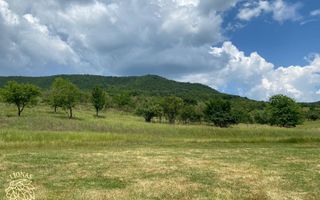 Teren 7200 mp-investitie-Sieu Magherus la 16 km de Bistrita - Poză 2