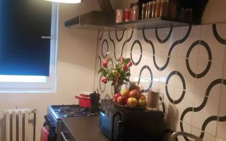 Apartament cu 2 camere/ 37mp/ zona Podu Ros - Blvd Tutora - Poză 4