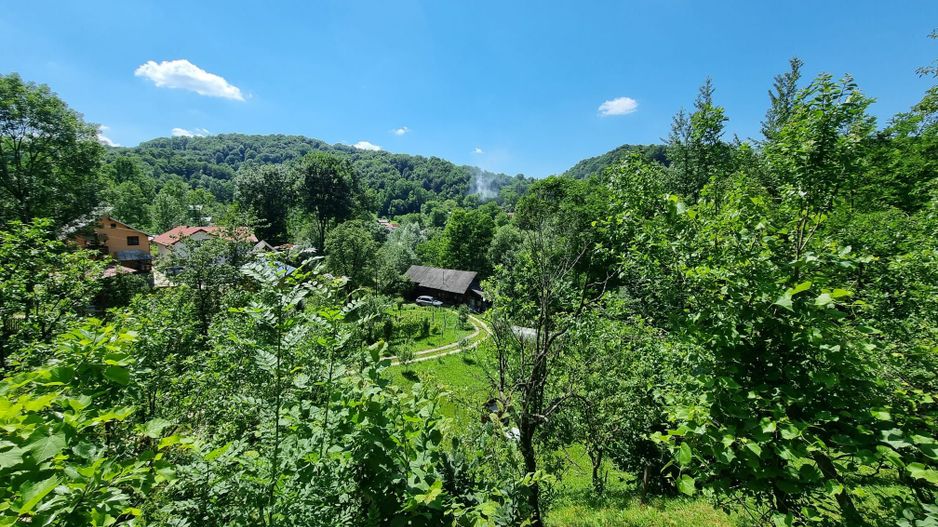 Casa de la marginea padurii! - Poză 3