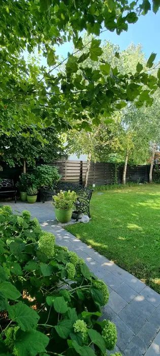 Casa, Lacul Brates - Poză 8