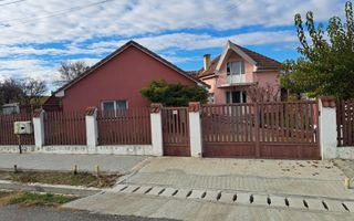 OFERTA in Băcia. Hunedoara ! Proprietate 2 case + Cabană - Poză 1