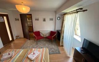 Apartament cu o cameră/ 30 mp/ finisat modern/ cartier Mănăștur - Poză 11