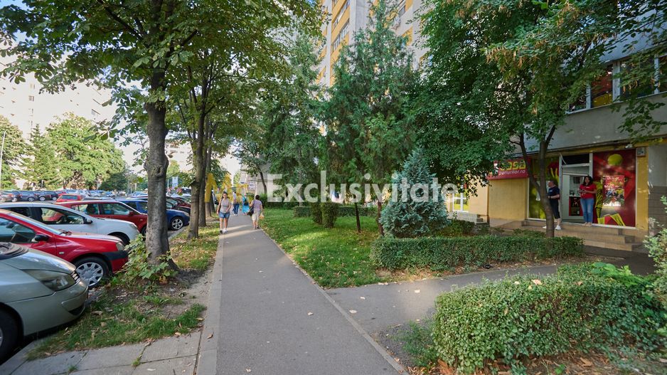 Spațiu Comercial Stradal Open Space | Trafic Intens | Vizibilitate Mar - Poză 9