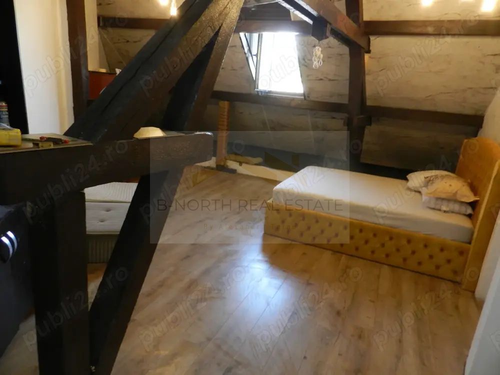 Aartament 5 camere de inchiriat in vila et 2, Parc Carol, Unirii-Tineretului - Poză 6