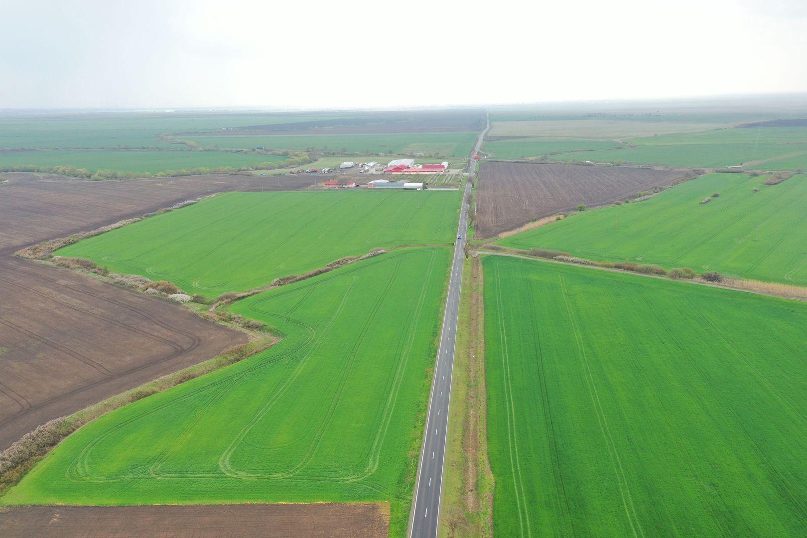 Teren industrial Dudestii Noi - Poză 2