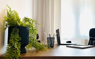 Oferta Inchiriata - Casa Segmentul Premium, 180 mp | Garaj&Gradina | Fropin - Poză 30