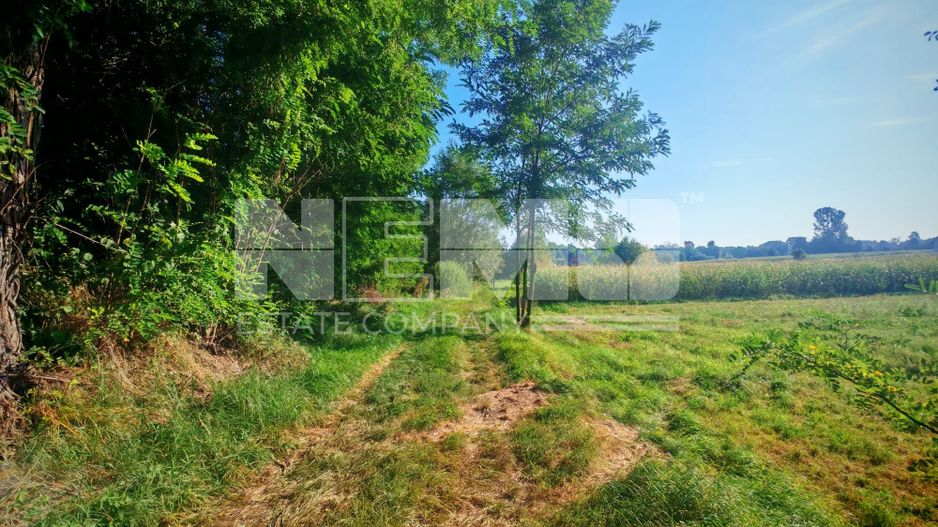 TEREN INTRAVILAN | FRATĂUȚII NOI | 1.1 HA - Poză 12