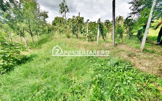 Teren 3.412 mp,zona Belvedere 45 euro mp - Poză 10