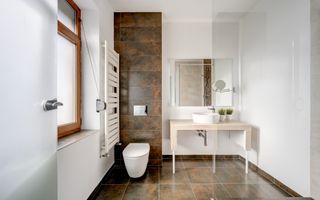 Vila de inchiriat Erou Iancu Nicolae - Poză 34