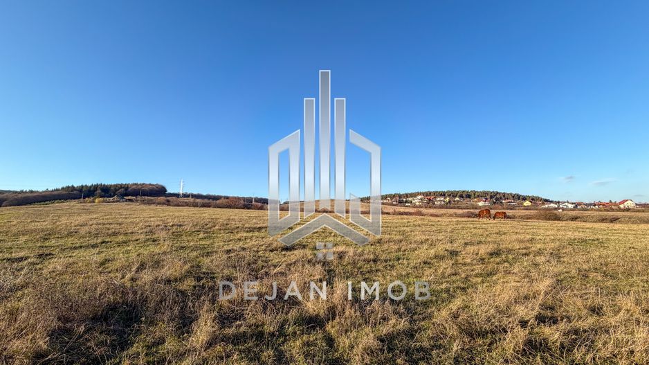 Teren Extravilan | 3.000 mp | Strada Pădurii - Poză 4