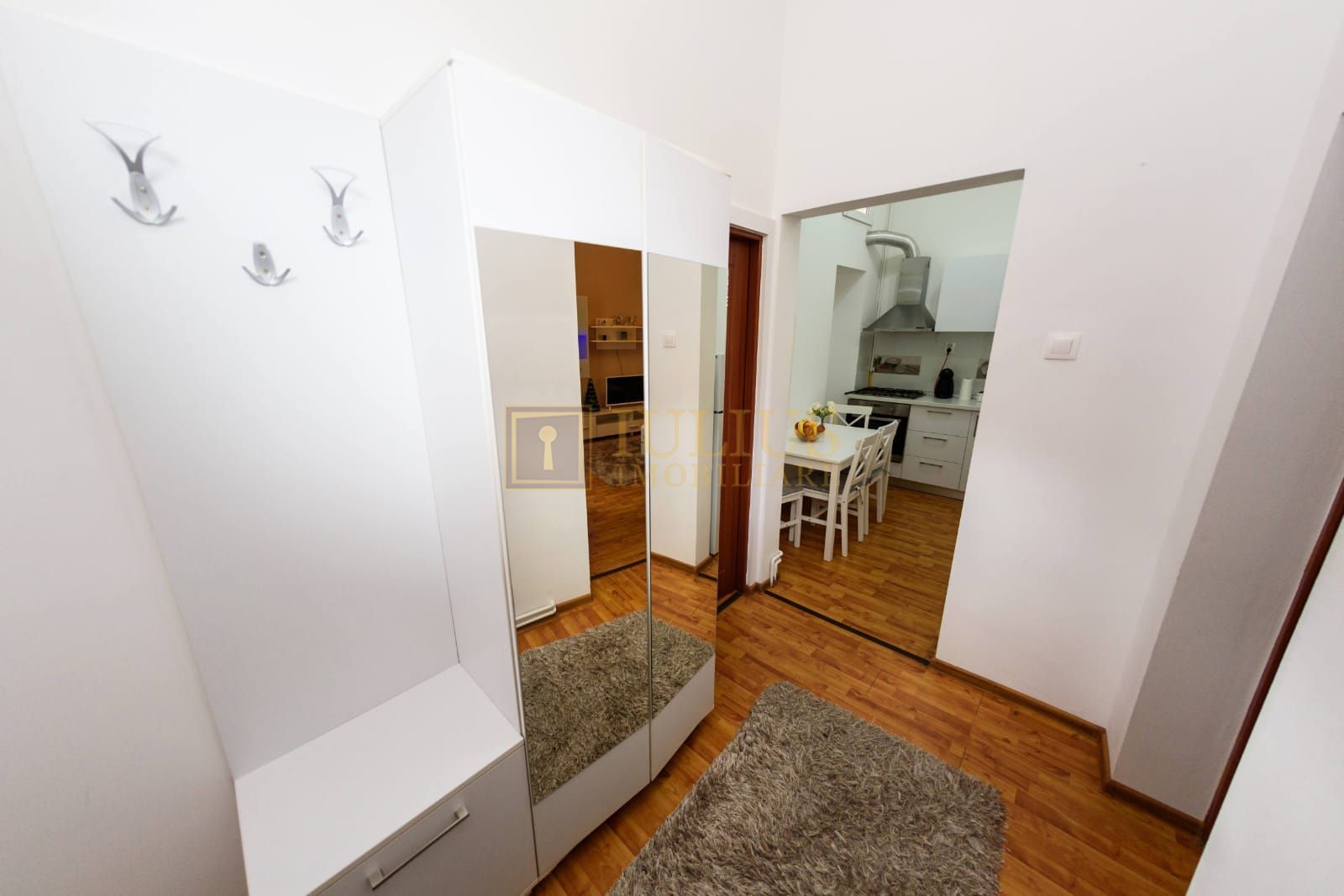 Piata Unirii|, apartament lux| cladire istorica| centrala proprie| 04.10.26 - Poză 10