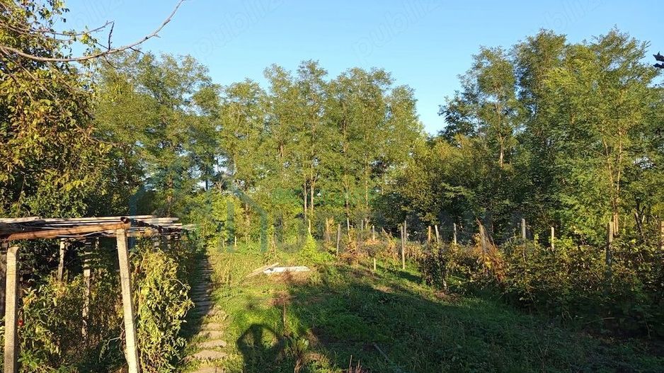 Casă de vânzare în Târgu Frumos, cu anexe și teren generos - Poză 2