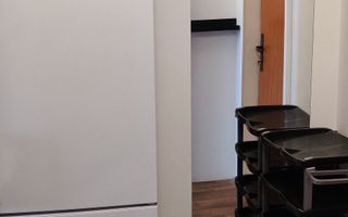 Garsonieră modernă, renovată – Zona Dristor / Park Lake - Poză 5