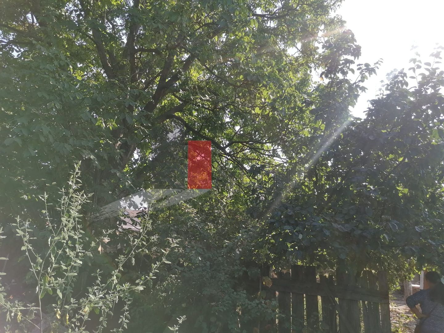 Afumati- Ilfov - teren 899 mp - Zero Comision Cumparator - Poză 7