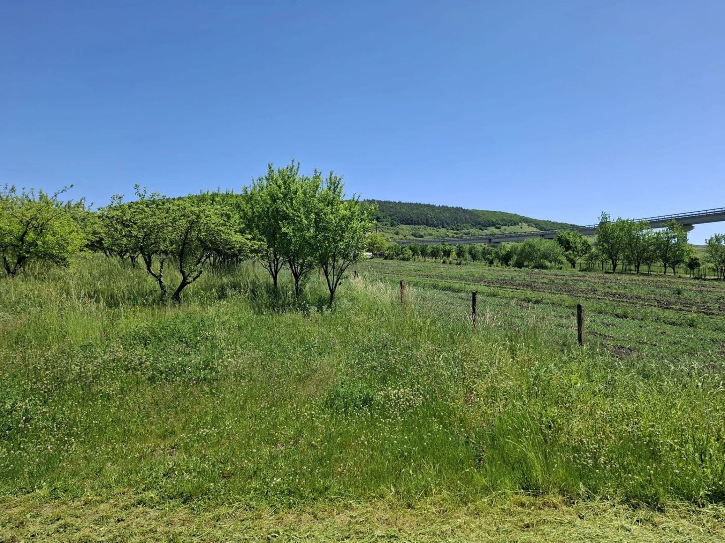 Teren de vanzare in Valcele - Poză 2