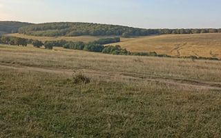 Teren de vanzare | 3400 MP | Cabana | Zona Cristian - Poză 3