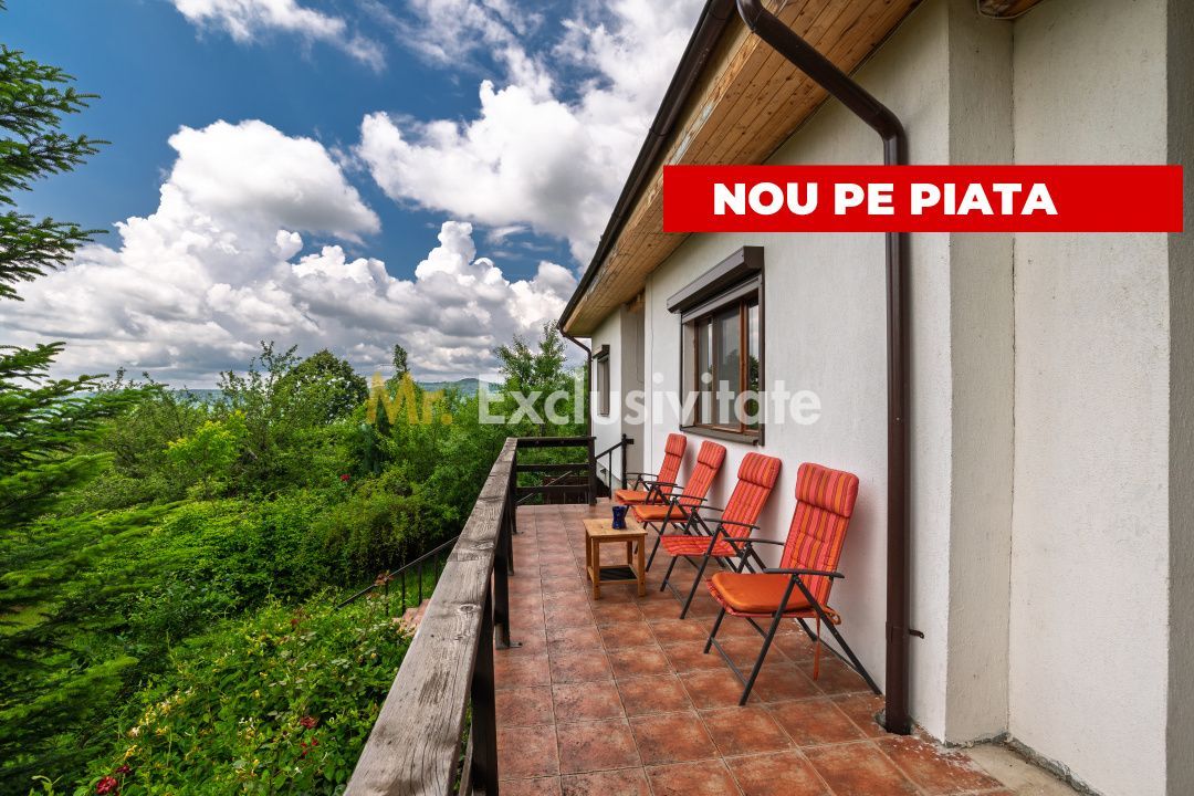Casa moderna si casa bunicii + 6300 mp teren,Oaza autentica in Corbi Arges- - Poză 1
