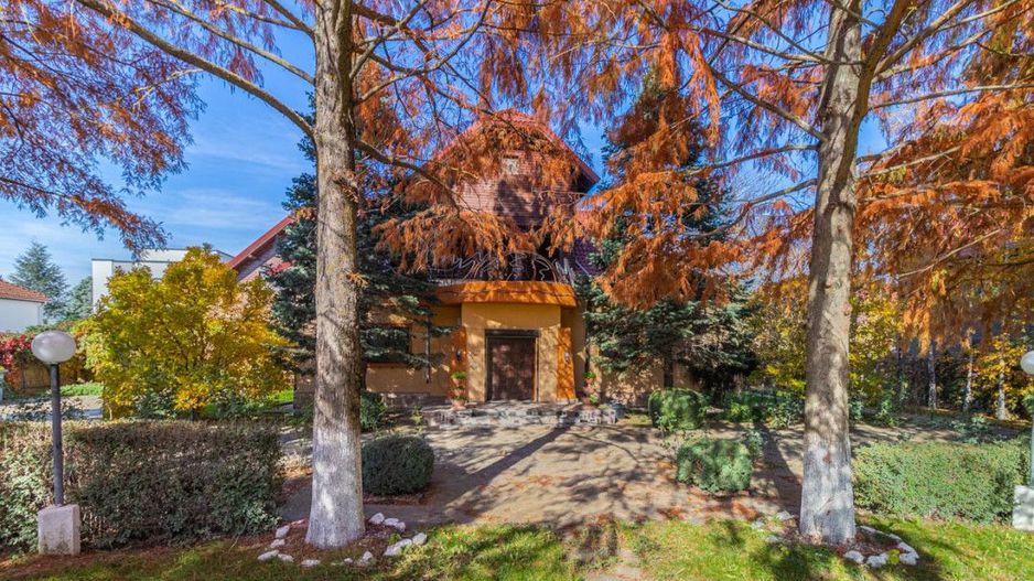 Casa din Natura Balotesti-6300 mp teren-Acces privat la lac si ponton propriu - Poză 5