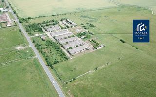 Hale depozitare, grajd, Curte betonata, Horia Jud. Arad - Poză 2