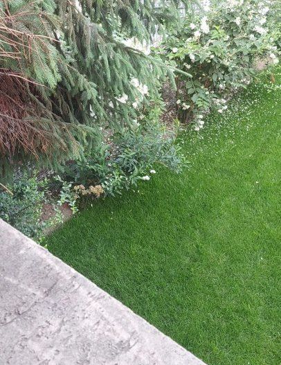 Casa Titulescu cu parcare privata -posibilitate extindere curte pana la 500 mp - Poză 2