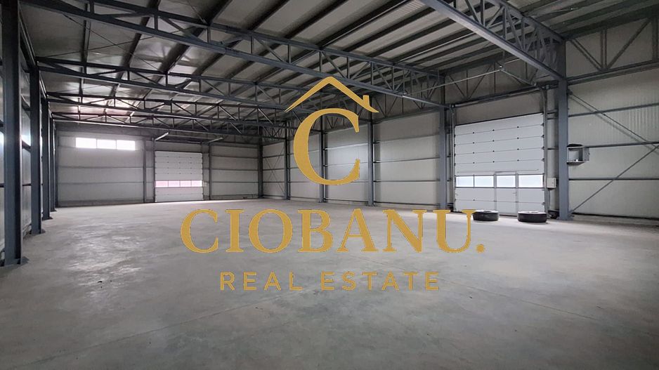 Hale industriale+Cladire de Birouri de inchiriat zona Aeroport - Poză 1