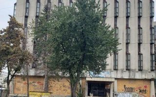 Clădire cu potențial de investiție în Grigorescu - Poză 3