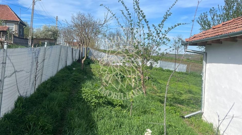 Casă ecologică 113 mp utili cu utilitati  + Teren 3100 mp, Balda, județul Mures - Poză 14