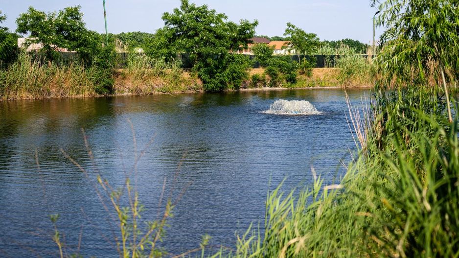 Sala de evenimente cu  piscina si foisor Biled COMISION 0 % CUMPARATOR - Poză 26