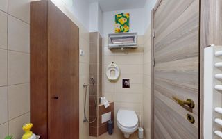 Vila Cernica 4 camere 3 bai,3 terase - Poză 27