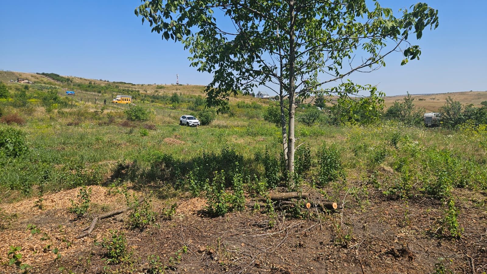 Teren 1.801 mp constructie casa individuala, Borhanci - Poză 10