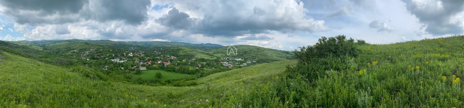 Domeniu 15.900 mp în Fințești | Casă + Investiție Dealu Mare - Poză 16