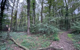 46644 mp teren in Padurea Baneasa proiect exclusivist - Poză 2