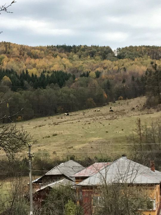 Vanzare teren intravilan cu utilitati trase, Babana - Poză 3