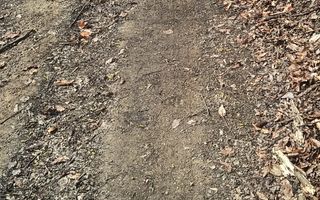 Un colt de rai in Apuseni I viața ca pe vremuri - Poză 3