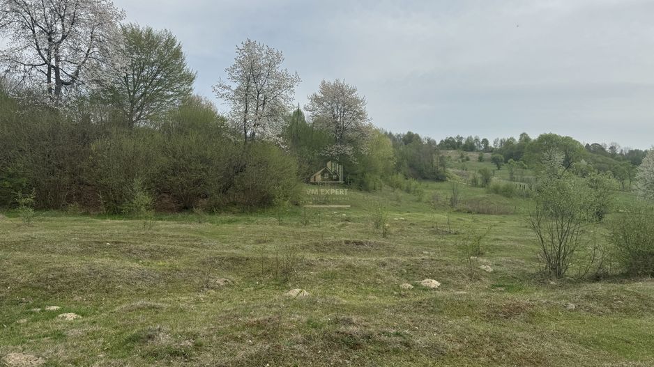 TEREN EXTRAVILAN 40000 MP, ALBESTI DE MUSCEL, CANDESTI - Poză 3