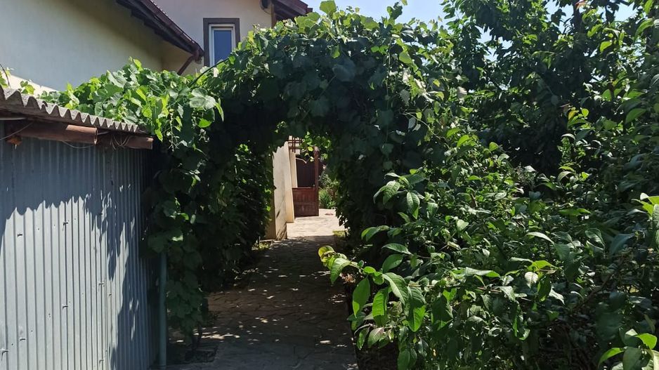 vila indiv+1198mp teren/pe DN4(sosBucuresti) in Frumusani/jud.Calarasi - Poză 54