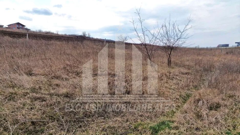 Teren intravilan de vanzare in Limba - Poză 2