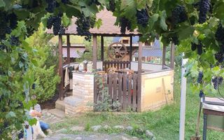 Teren Intravilan | 634 MP | Livada |Cisnadie - Poză 4