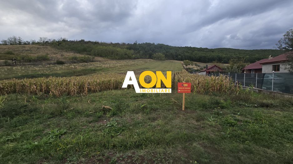 Teren Intravilan 5650mp Hapria, la Drum Principal - Poză 1