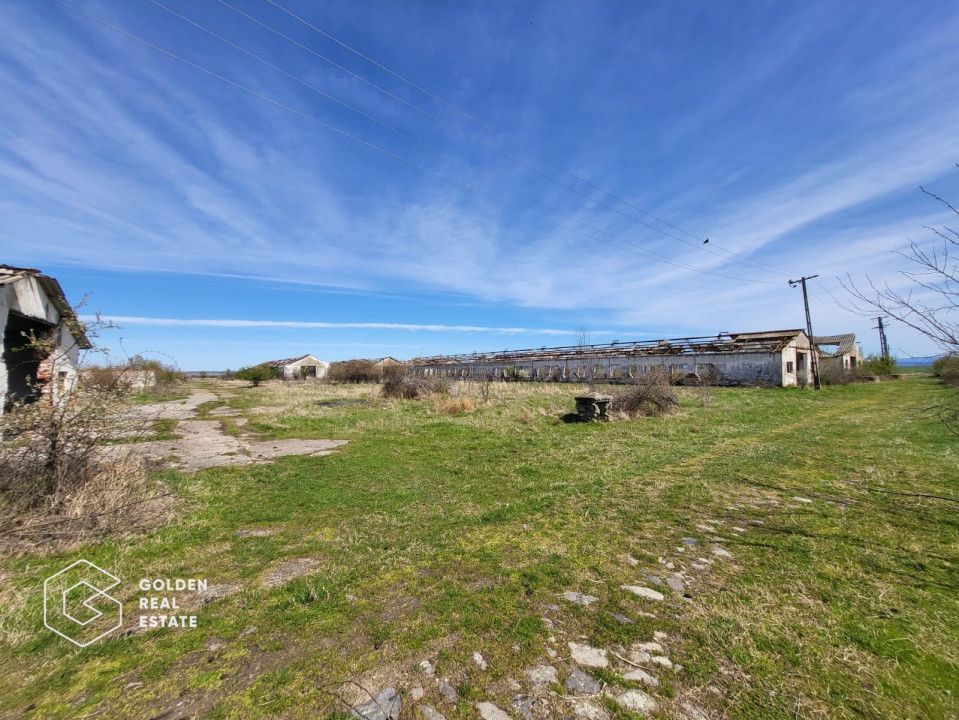 Teren extravilan, 22.5 ha, comuna Maureni - Poză 6